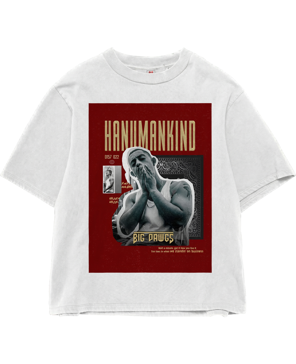 Hanumankind Big Dawgs White Oversize Tee